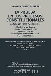 LAS PRUEBAS EN LOS PROCESOS CONSTITUCIONALES