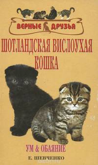 Шотландская вислоухая кошка