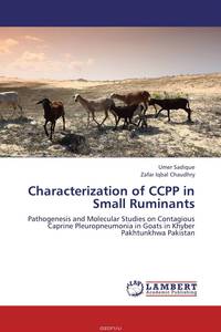 Characterization of CCPP in Small Ruminants