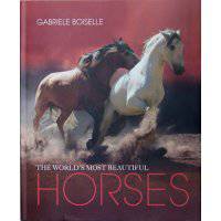 The Worlds Most Beautiful Horses