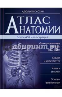 Атлас анатомии. Более 450 иллюстраций