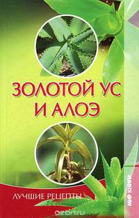 Золотой ус и алоэ. Лучшие рецепты
