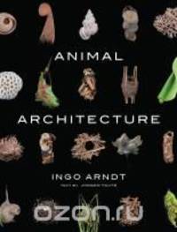 Animal Architecture