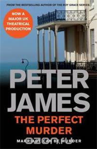 The Perfect Murder