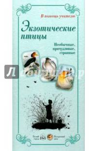 Экзотические птицы. Необычные, причудливые, странные