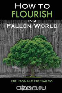 How to Flourish in a Fallen World