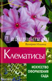 Клематисы