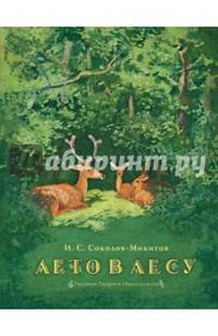 Лето в лесу