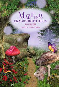 Магия сказочного леса
