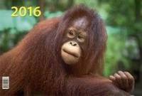 Символ года. Вид 2. Календарь настенный квартальный трёхблочный на 2016 год