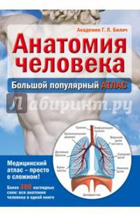 Анатомия человека. Большой популярный атлас