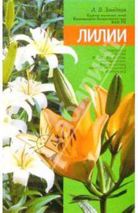 Лилии