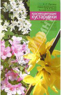 Красивоцветущие кустарники (форзиция, вейгела, чубушник, дейция)