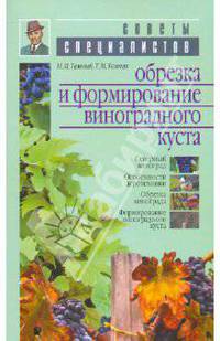 Обрезка и формирование виноградного куста
