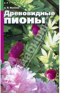ДизСада.Древовидные пионы