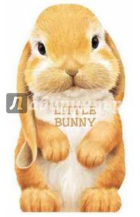 Little Bunny