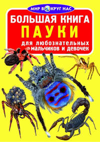 Пауки (1Ц) Большая книга.