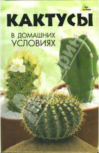Кактусы в домашних условиях - (Без проблем)