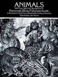Animals. 1419 Copyright-free Illustrations of Mammals, Birds, Fish, Insects, etc