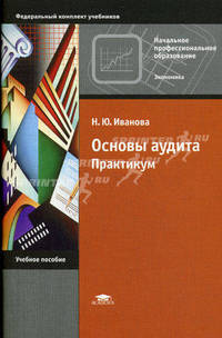 Основы аудита: практикум. Учебное пособие для учреждений начального профессионального образования