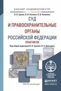 Суд и правоохранительные органы Российской Федерации. Практикум. Учебное пособие для академического бакалавриата