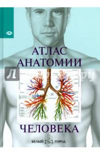 Атлас анатомии человека/ БГ