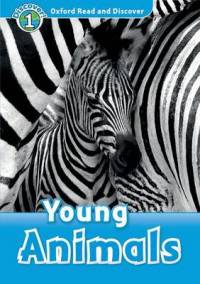 Young Animals