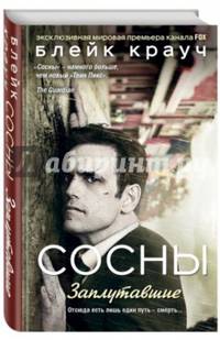 Сосны. Заплутавшие
