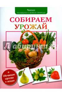 Собираем урожай + обучающие карточки и загадки