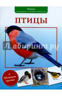 Птицы. (Малышам о живой природе)