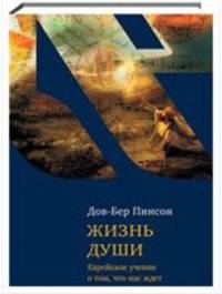 Жизнь души. Еврейское учение о том, что нас ждет после смерти