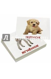 Комплект мини-карточек "Domestic animals. Домашние животные" (40 штук)