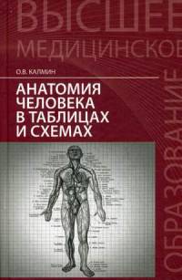 Анатомия человека в таблицах и схемах. Учебное пособие. Гриф УМО по медицинскому образованию
