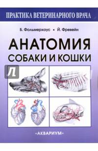 Анатомия собаки и кошки