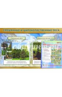 Комплект плакатов. Природные зоны: смешанные и широкие