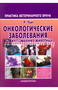 Онкологические заболевания мелких домашних животных