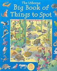 The Usborne Big Book of Things to Spot