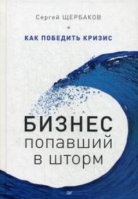 Бизнес, попавший в шторм. Как победить кризис. (Деловой бестселлер)