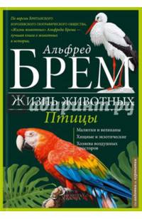 Жизнь животных. Птицы. От авдотки до куропатки