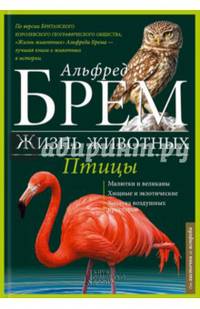 Жизнь животных. Птицы. От ласточки до ястреба