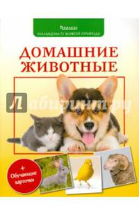 Домашние животные + обучающие карточки