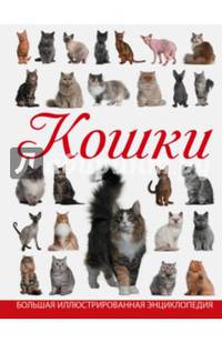 Кошки