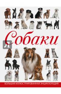 Собаки
