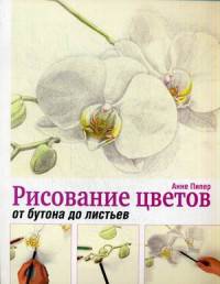 Рисование цветов от бутона до листьев. Руководство