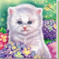 Котёнок - Милые зверята
