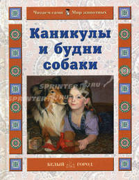Каникулы и будни собаки