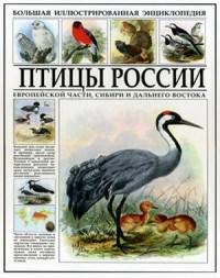 Птицы России. Европейской части, Сибири и Дальнего Востока. Энциклопедия