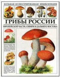Грибы России европейской части, Сибири и Дальнего Востока. Энциклопедия