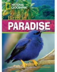 Birds in Paradise