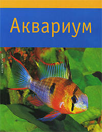 Аксель Гутьяр: Аквариум